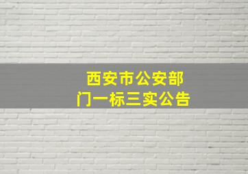 西安市公安部门一标三实公告