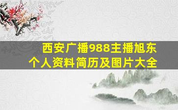 西安广播988主播旭东个人资料简历及图片大全