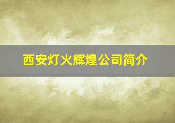 西安灯火辉煌公司简介