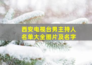 西安电视台男主持人名单大全图片及名字