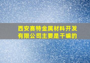 西安赛特金属材料开发有限公司主要是干嘛的