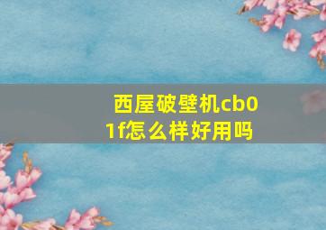 西屋破壁机cb01f怎么样好用吗