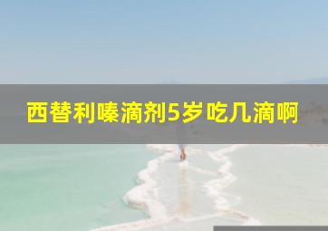 西替利嗪滴剂5岁吃几滴啊