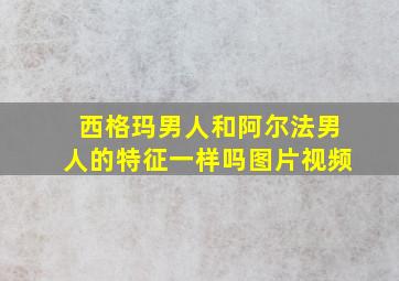 西格玛男人和阿尔法男人的特征一样吗图片视频