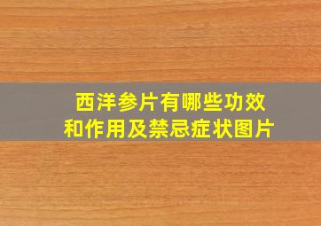 西洋参片有哪些功效和作用及禁忌症状图片