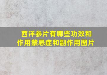 西洋参片有哪些功效和作用禁忌症和副作用图片