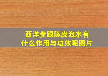 西洋参跟陈皮泡水有什么作用与功效呢图片