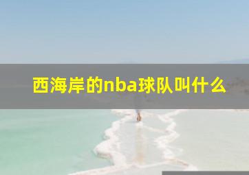 西海岸的nba球队叫什么