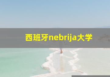 西班牙nebrija大学