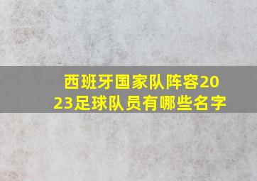 西班牙国家队阵容2023足球队员有哪些名字