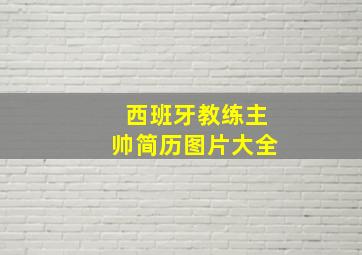 西班牙教练主帅简历图片大全