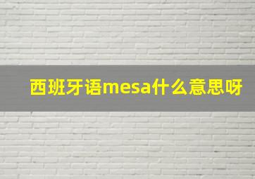 西班牙语mesa什么意思呀