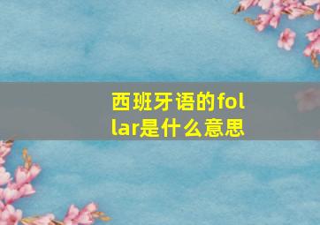 西班牙语的follar是什么意思