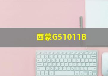 西蒙G51011B