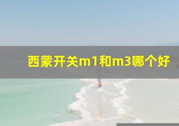 西蒙开关m1和m3哪个好