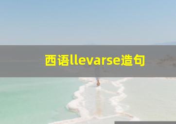 西语llevarse造句