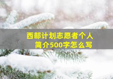 西部计划志愿者个人简介500字怎么写