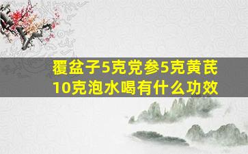 覆盆子5克党参5克黄芪10克泡水喝有什么功效