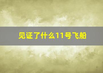 见证了什么11号飞船