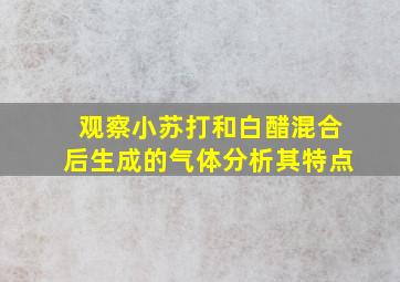 观察小苏打和白醋混合后生成的气体分析其特点