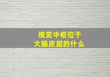 视觉中枢位于大脑皮层的什么