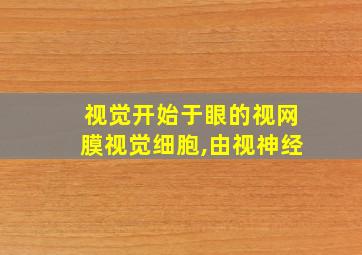 视觉开始于眼的视网膜视觉细胞,由视神经