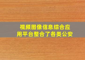 视频图像信息综合应用平台整合了各类公安