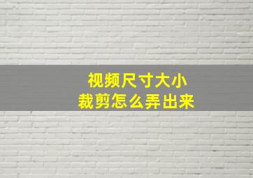 视频尺寸大小裁剪怎么弄出来