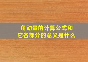 角动量的计算公式和它各部分的意义是什么