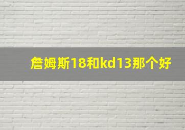 詹姆斯18和kd13那个好