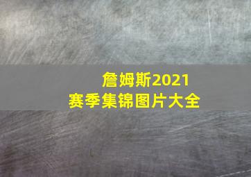 詹姆斯2021赛季集锦图片大全