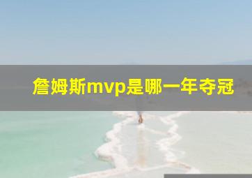 詹姆斯mvp是哪一年夺冠