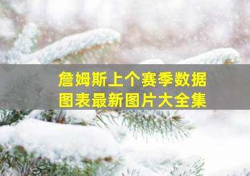 詹姆斯上个赛季数据图表最新图片大全集