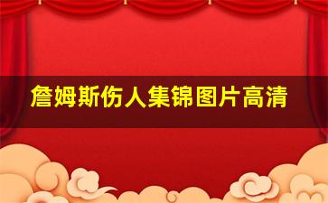 詹姆斯伤人集锦图片高清