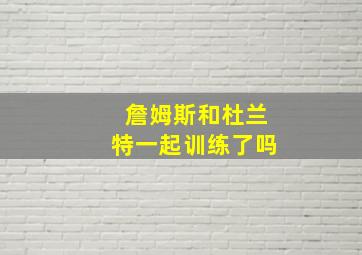 詹姆斯和杜兰特一起训练了吗