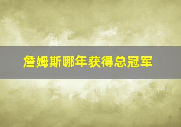 詹姆斯哪年获得总冠军