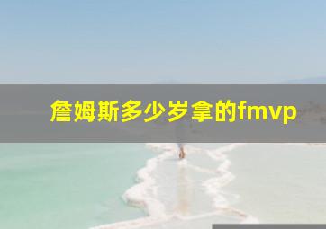 詹姆斯多少岁拿的fmvp