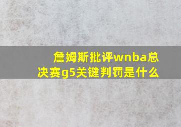 詹姆斯批评wnba总决赛g5关键判罚是什么