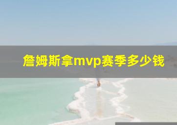 詹姆斯拿mvp赛季多少钱