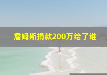 詹姆斯捐款200万给了谁