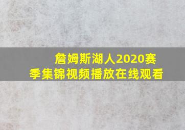 詹姆斯湖人2020赛季集锦视频播放在线观看