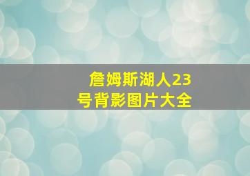 詹姆斯湖人23号背影图片大全