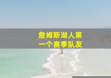 詹姆斯湖人第一个赛季队友