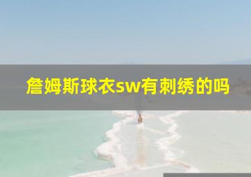 詹姆斯球衣sw有刺绣的吗