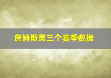 詹姆斯第三个赛季数据