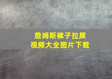 詹姆斯裤子拉屎视频大全图片下载