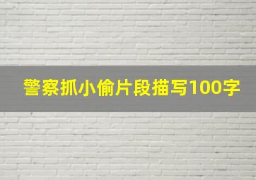 警察抓小偷片段描写100字