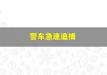 警车急速追捕