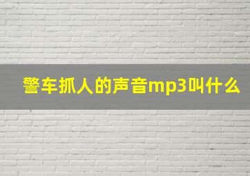 警车抓人的声音mp3叫什么