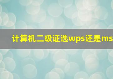 计算机二级证选wps还是ms